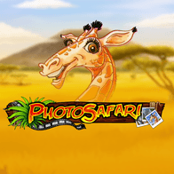 Photo Safari game icon